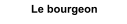 Le bourgeon